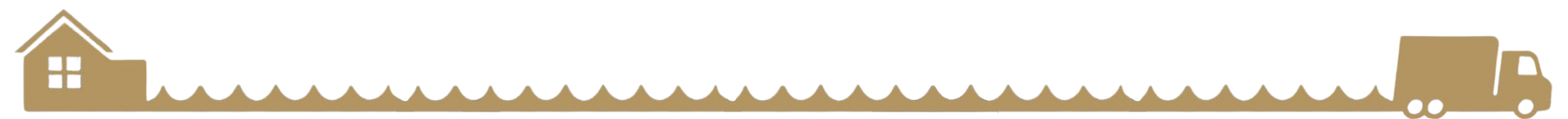 South Coast Pickers Footer Separator